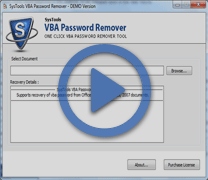 remove visual basic password